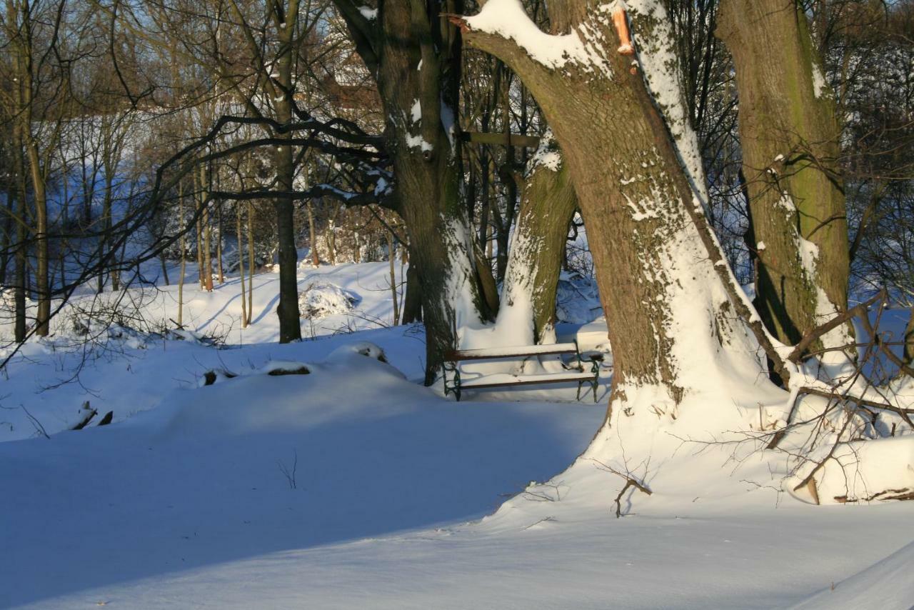 Somhegyi Oereg Harsfak Major Vendeghaz Bed & Breakfast Bakonybel Exterior photo